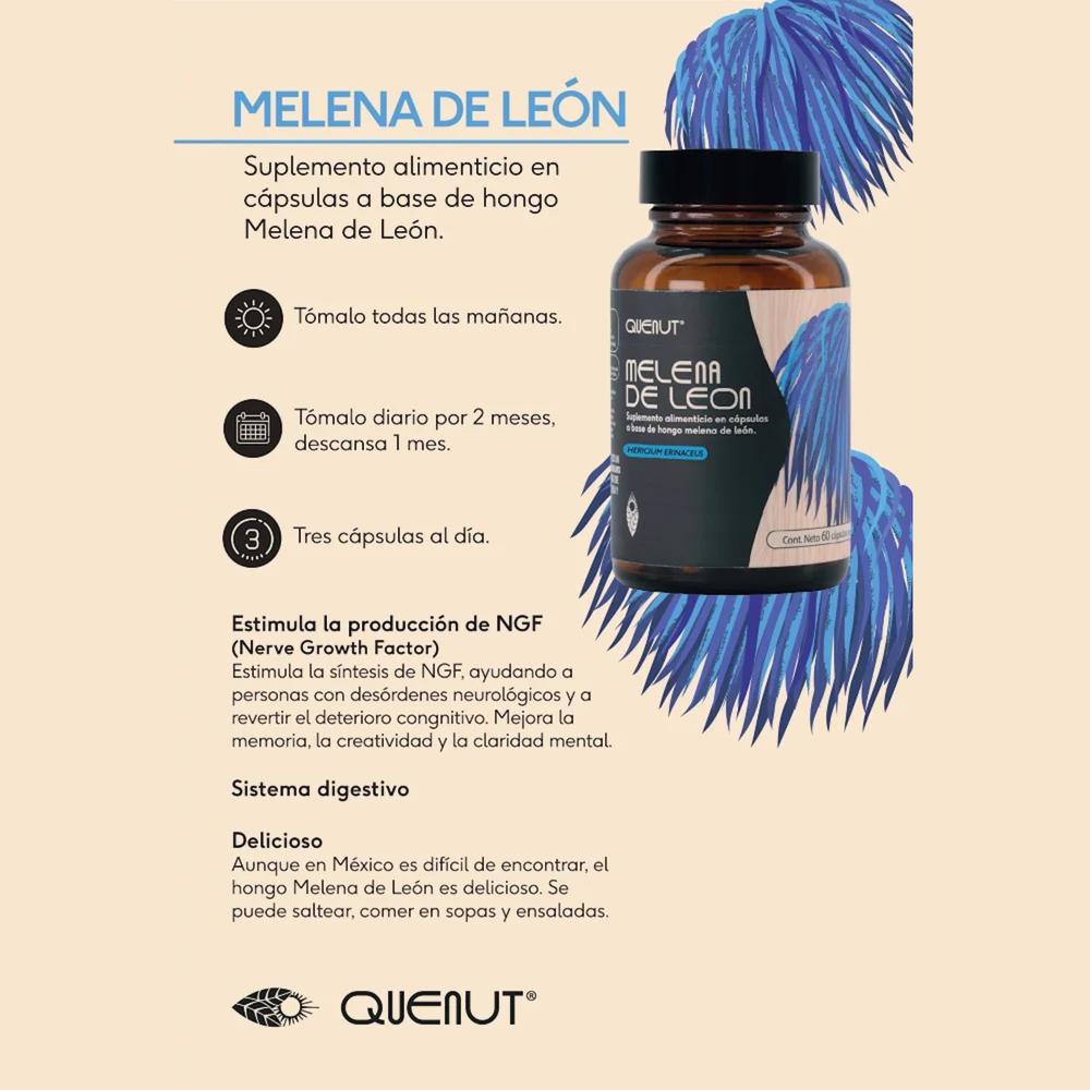 Foto 4 pulgar | Hongo Melena De León 60 Cápsulas Veganas Quenut Lion's Mane