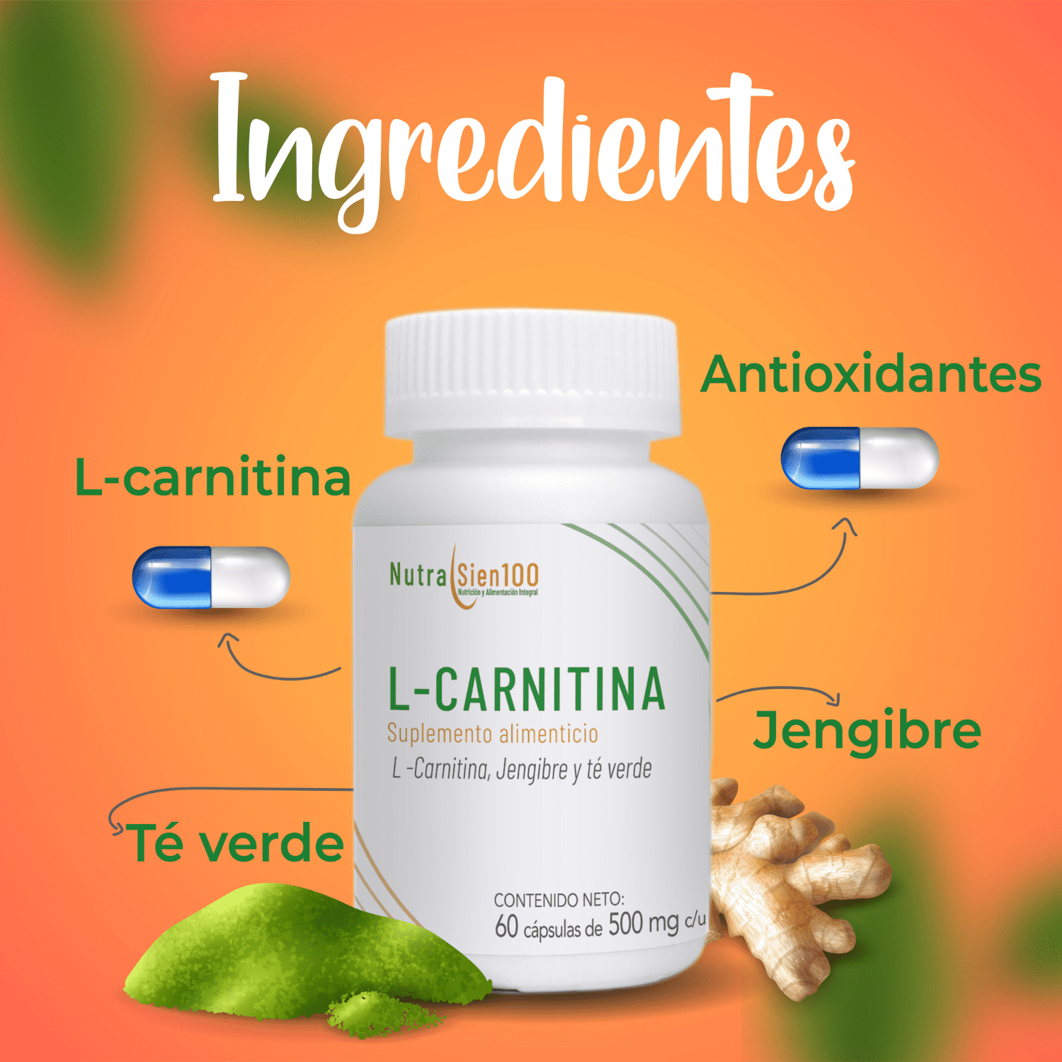 Foto 9 pulgar | Carnitina Cápsulas Con Jengibre Y Té Verde. Termogénico. Nutrasien100. Ingredientes Naturales. 120 Cápsulas