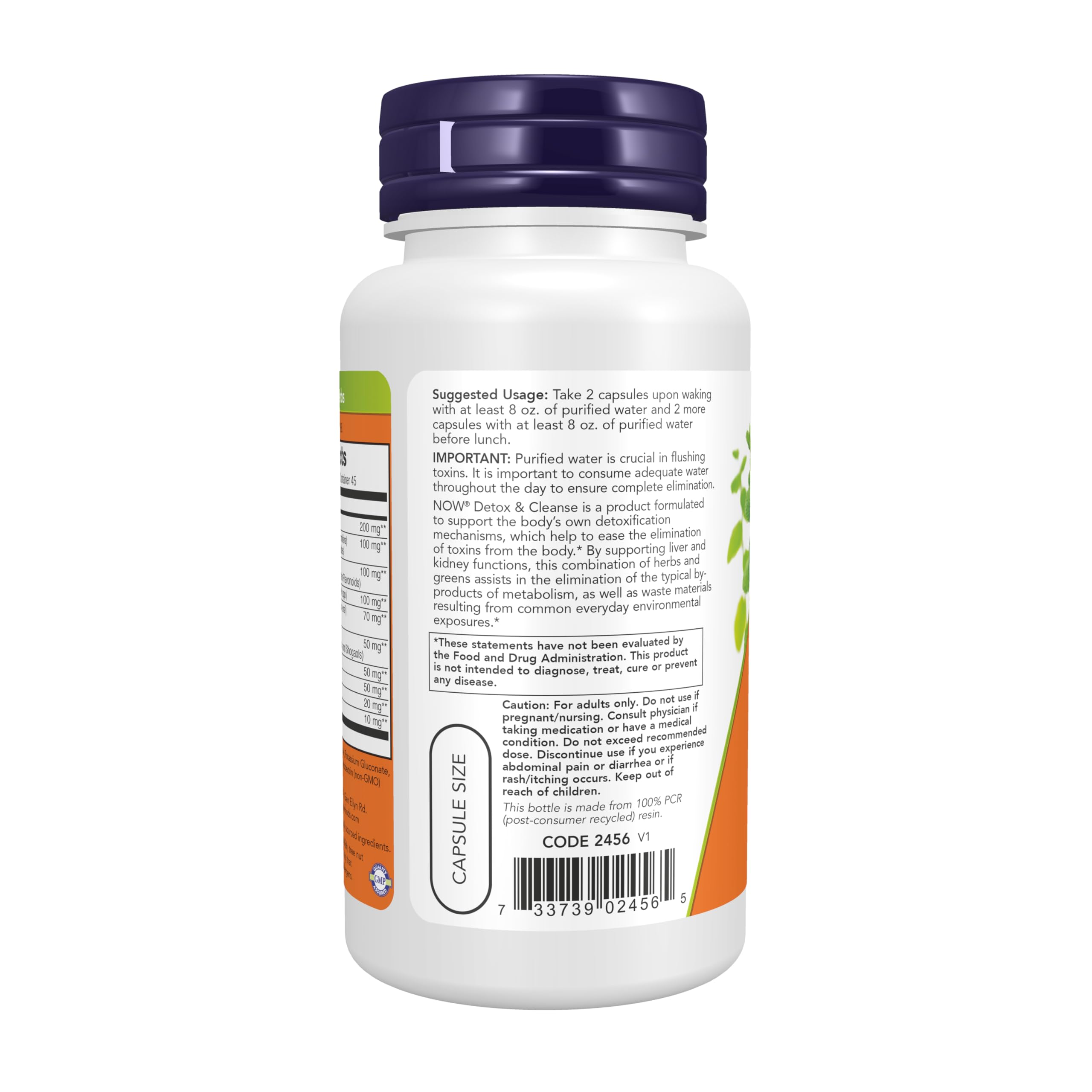 Foto 3 pulgar | 90 Cápsulas Vegetarianas De Supplements Now Foods Detox And Cleanse - Venta Internacional.