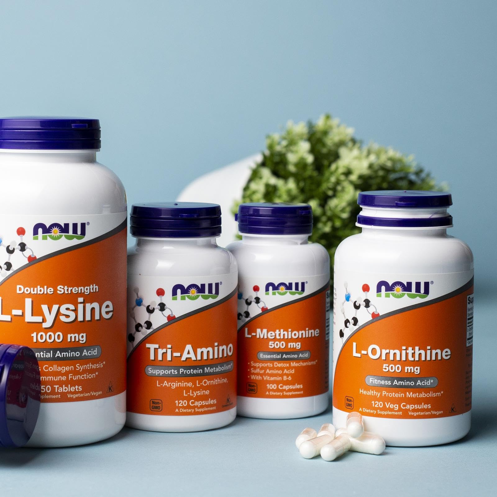 Foto 6 | Supplements Now Foods Clorhidrato De L-ornitina 500 Mg 120 Cápsulas - Venta Internacional.