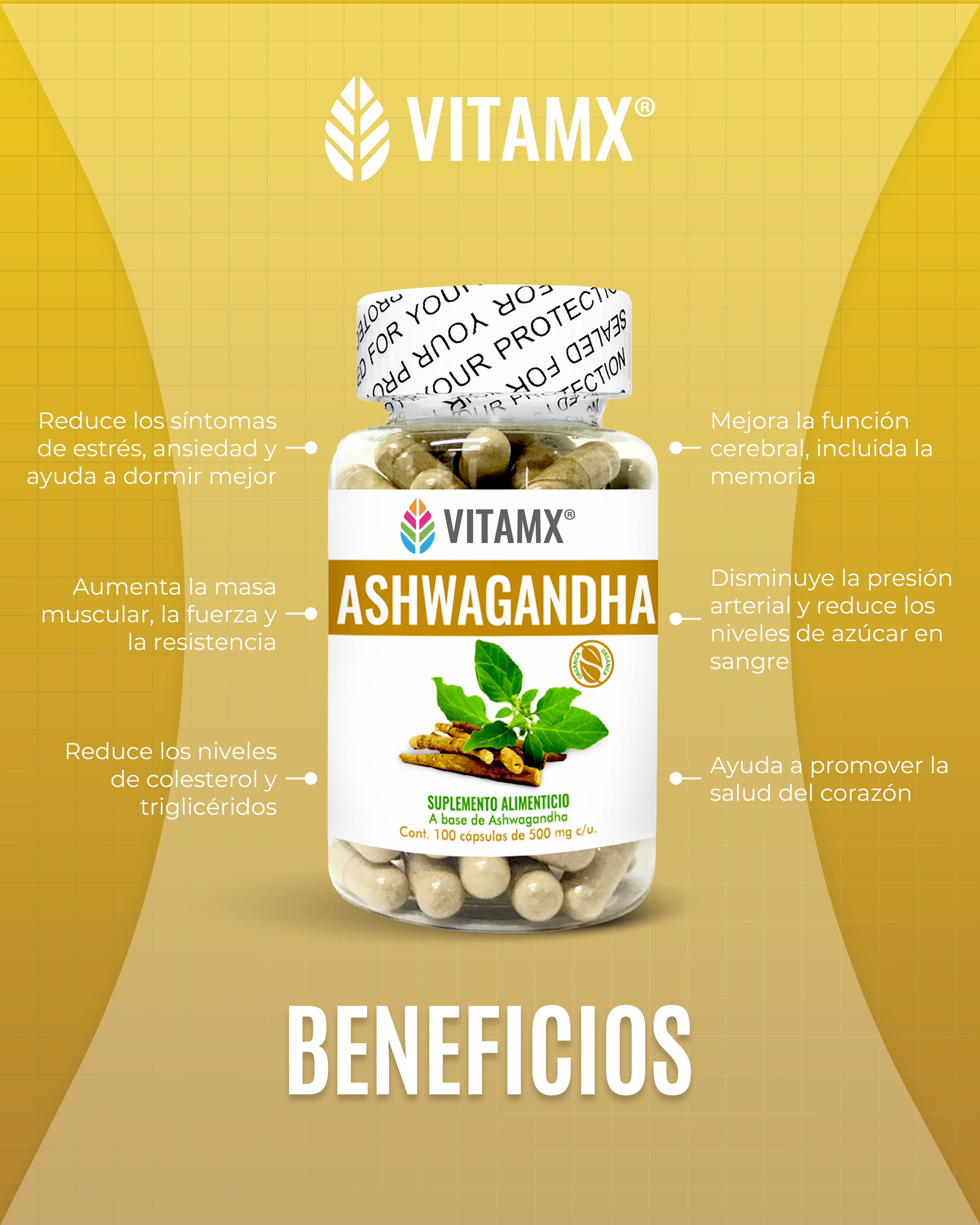 Foto 4 pulgar | Ashwagandha 2 Frascos Natsa 100 Cápsulas C/u
