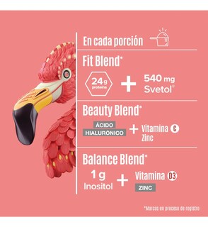 Foto 4 | Birdman Proteína Vegetal Fitmingo 1020g Sabor Vainilla
