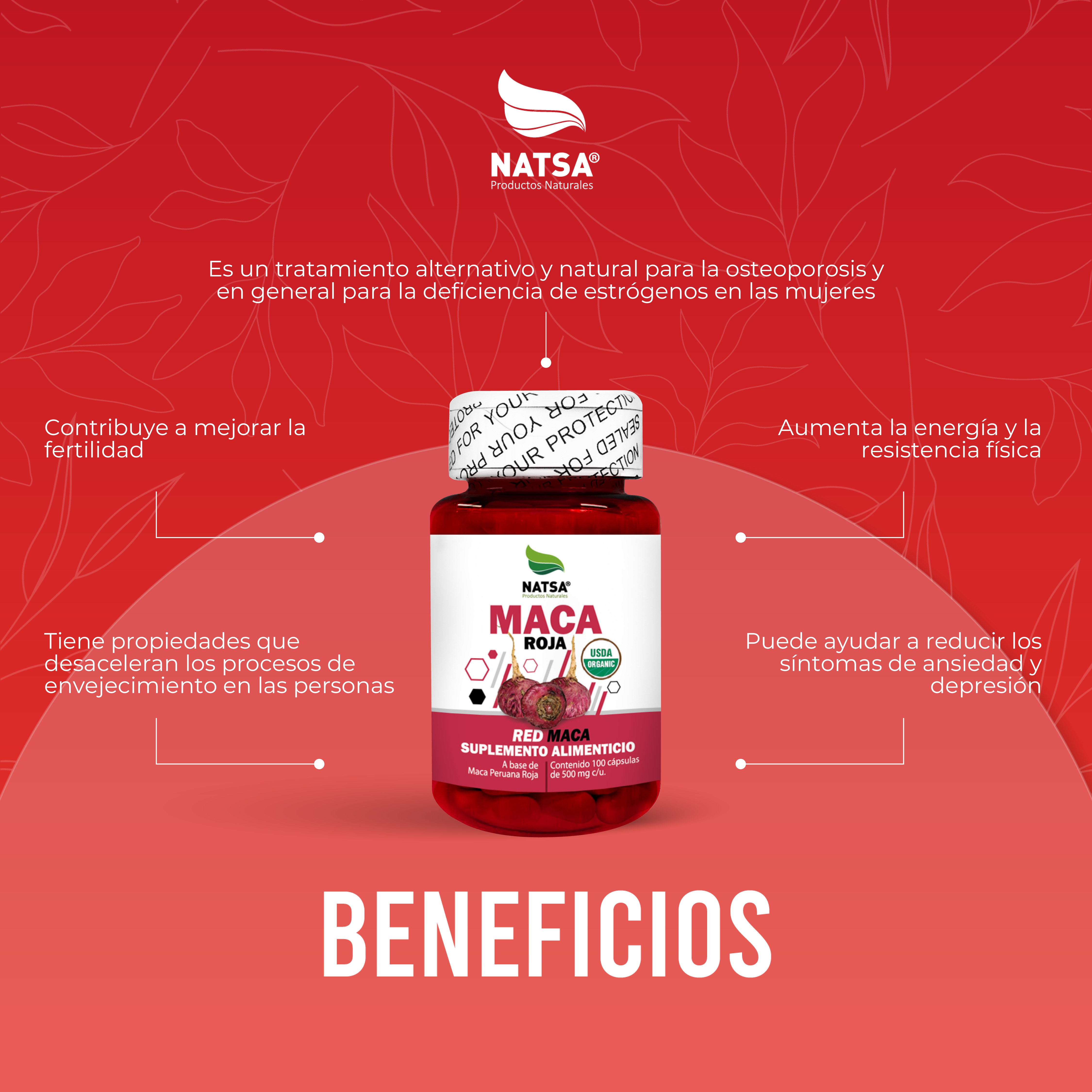 Foto 4 pulgar | Suplemento Maca Roja Natsa 100 Cápsulas