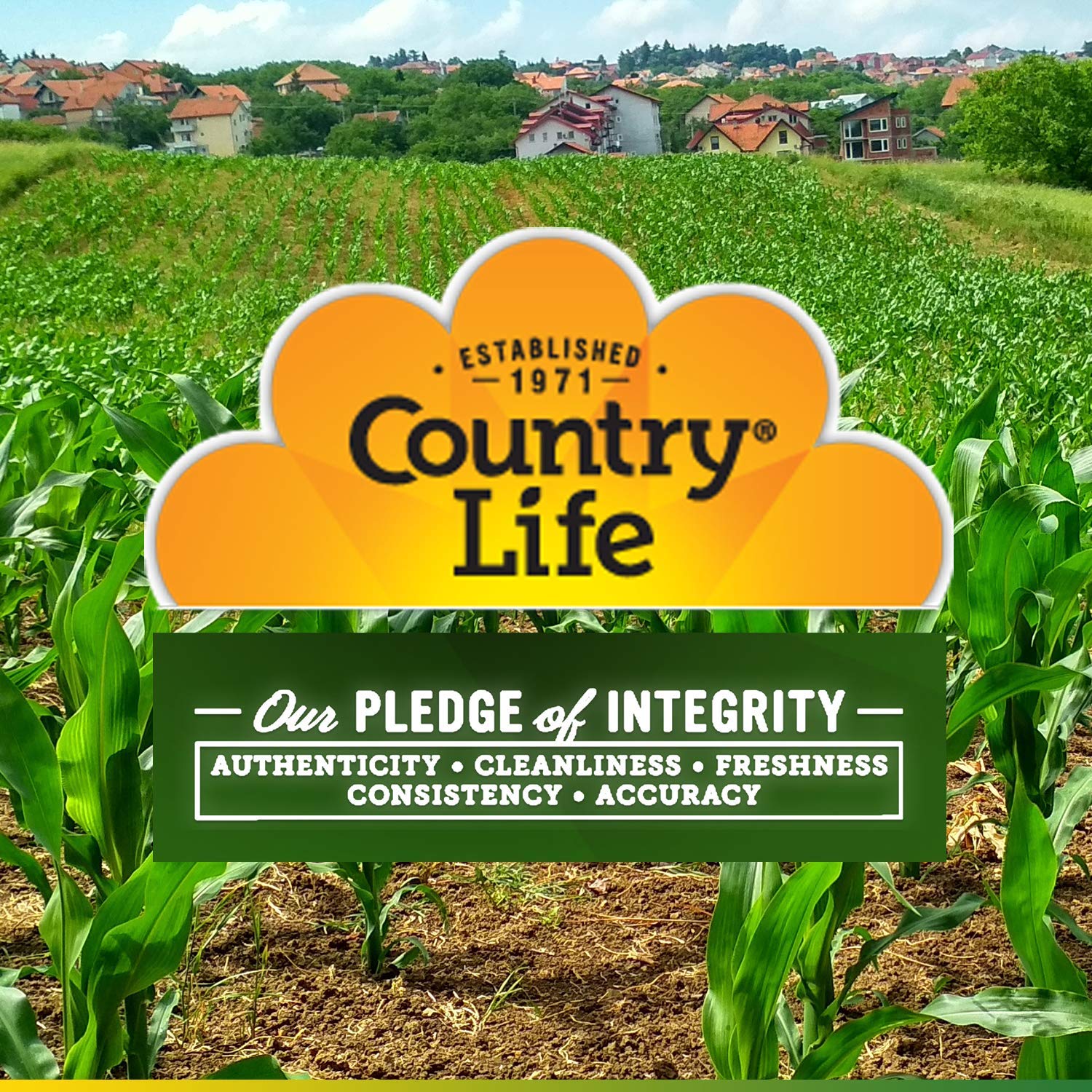 Foto 5 pulgar | Suplemento De Citrato De Calcio Country Life Con Vitamina D, 120 Unidades - Venta Internacional.