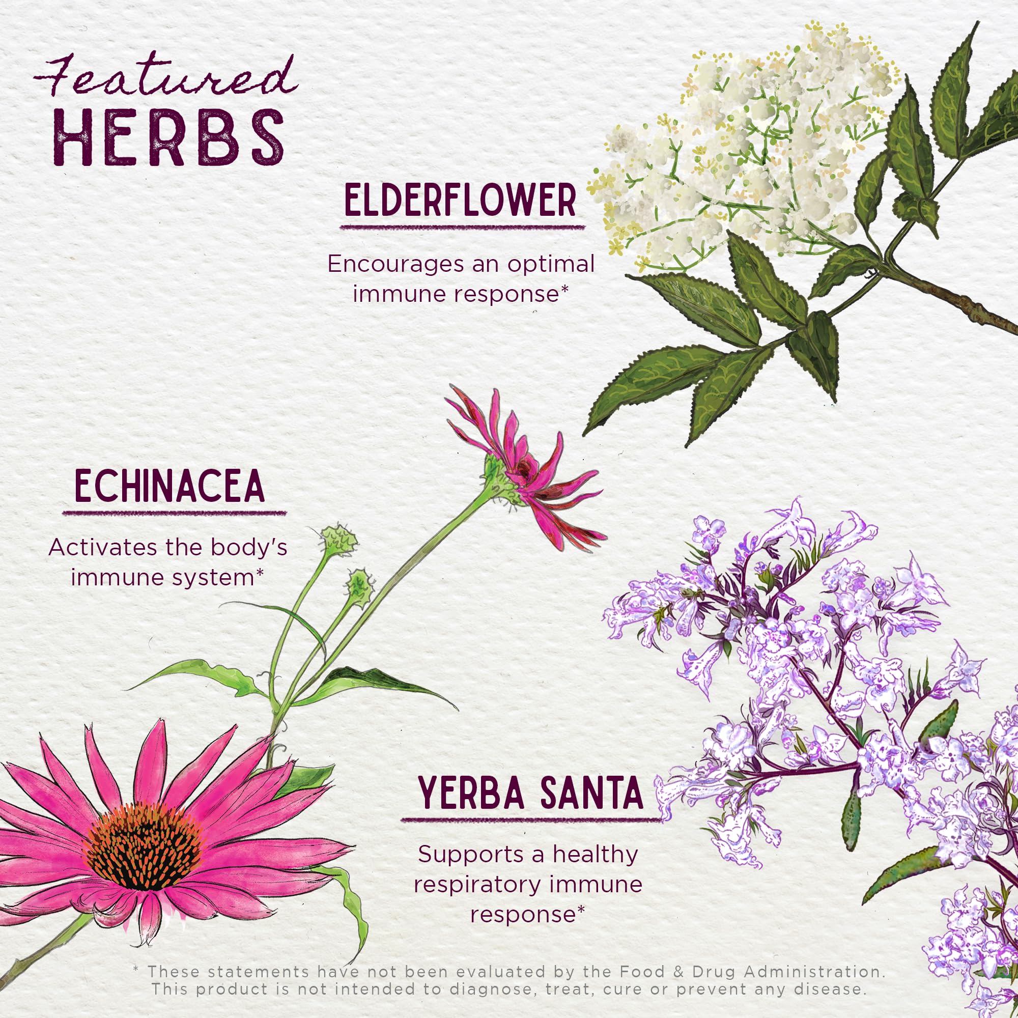 Foto 5 pulgar | Suplemento Wishgarden Herbs Kick-ass, Activador Inmunitario, 60 Ml - Venta Internacional.