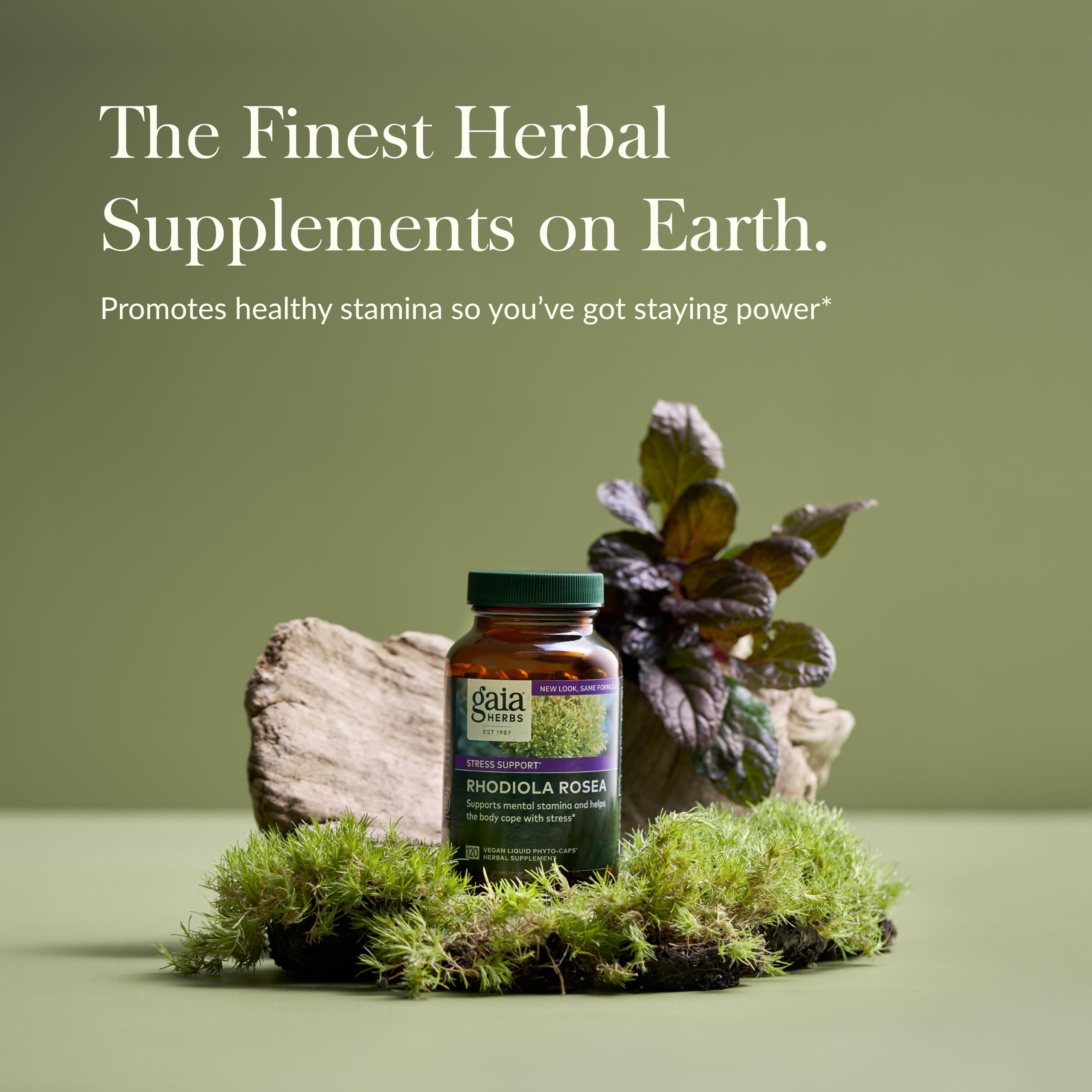 Foto 3 | Suplemento Gaia Herbs Rhodiola Rosea Stress Support 120 Cápsulas - Venta Internacional.