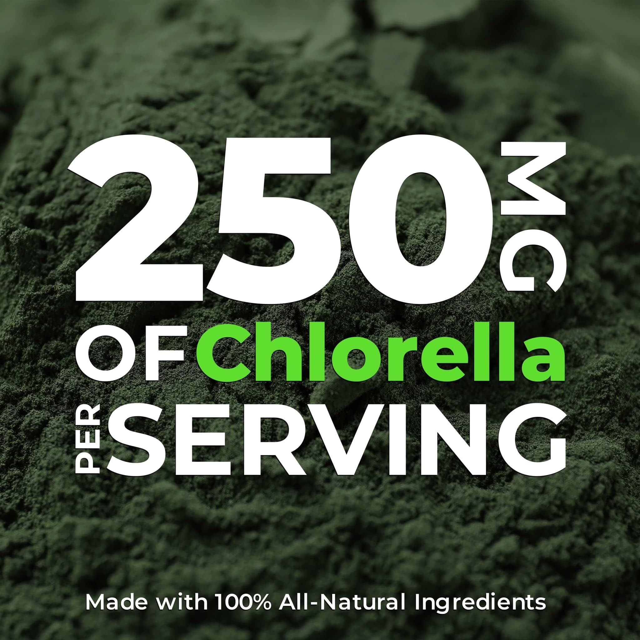 Foto 4 pulgar | Tabletas De Clorella Earth Circle Foods 1000 Tabletas - Venta Internacional.
