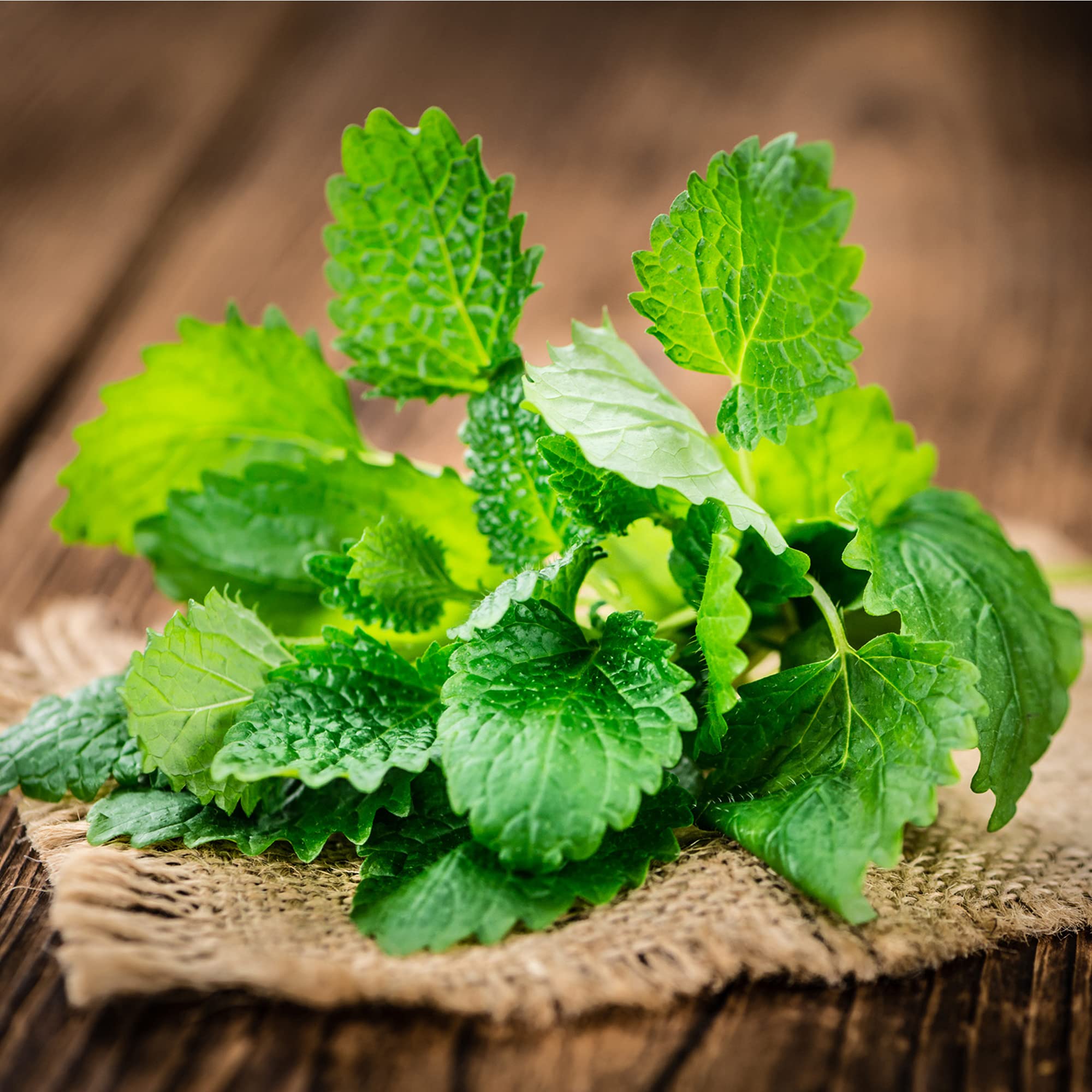 Foto 3 | Té De Hojas Sueltas Con Bálsamo De Limón Y Hierbas Secas 454 G - Frontier Co-op - Venta Internacional.