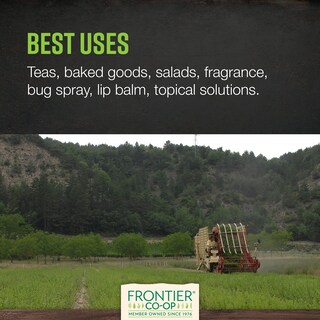 Foto 4 | Té De Hojas Sueltas Con Bálsamo De Limón Y Hierbas Secas 454 G - Frontier Co-op - Venta Internacional.