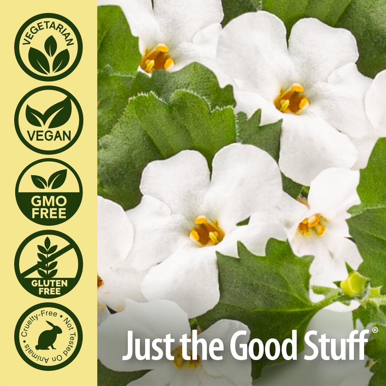 Foto 6 pulgar | Suplemento Nature's Answer Bacopa 500 Mg 90 Cápsulas - Venta Internacional.