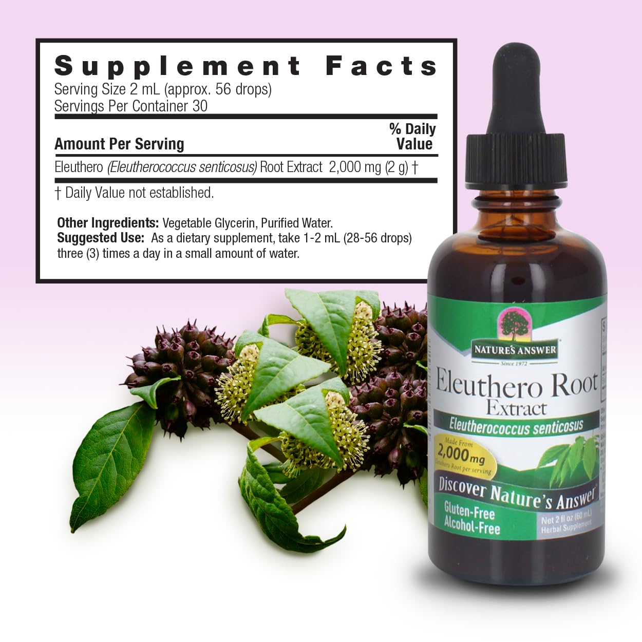 Foto 4 pulgar | Suplemento Extracto de Raíz Eleutero Nature's Answer 2000 Mg Y 60 Ml - Venta Internacional