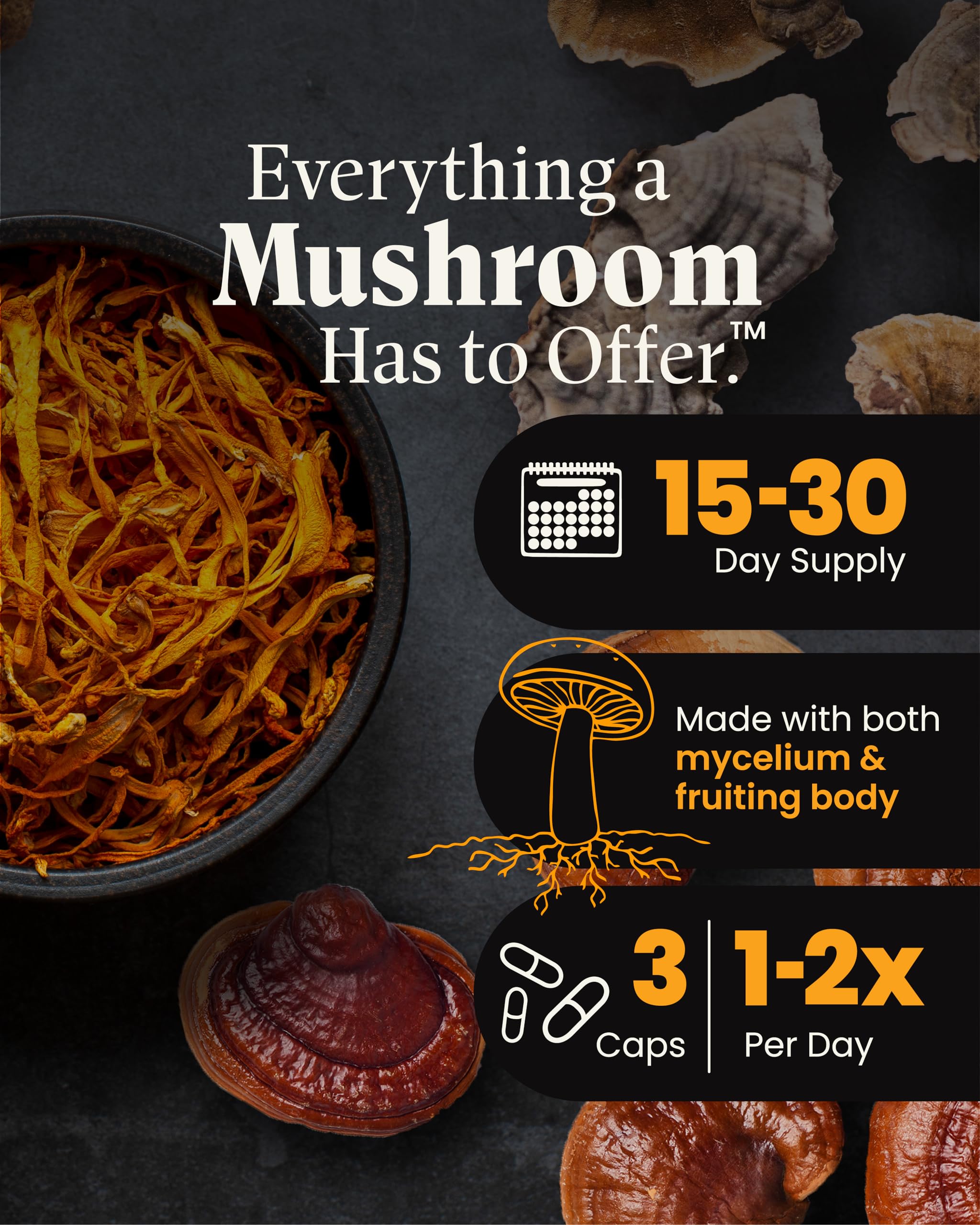 Foto 4 pulgar | Suplemento Herb Pharm Mushroom Wellness Everyday 10 90 Cápsulas - Venta Internacional.