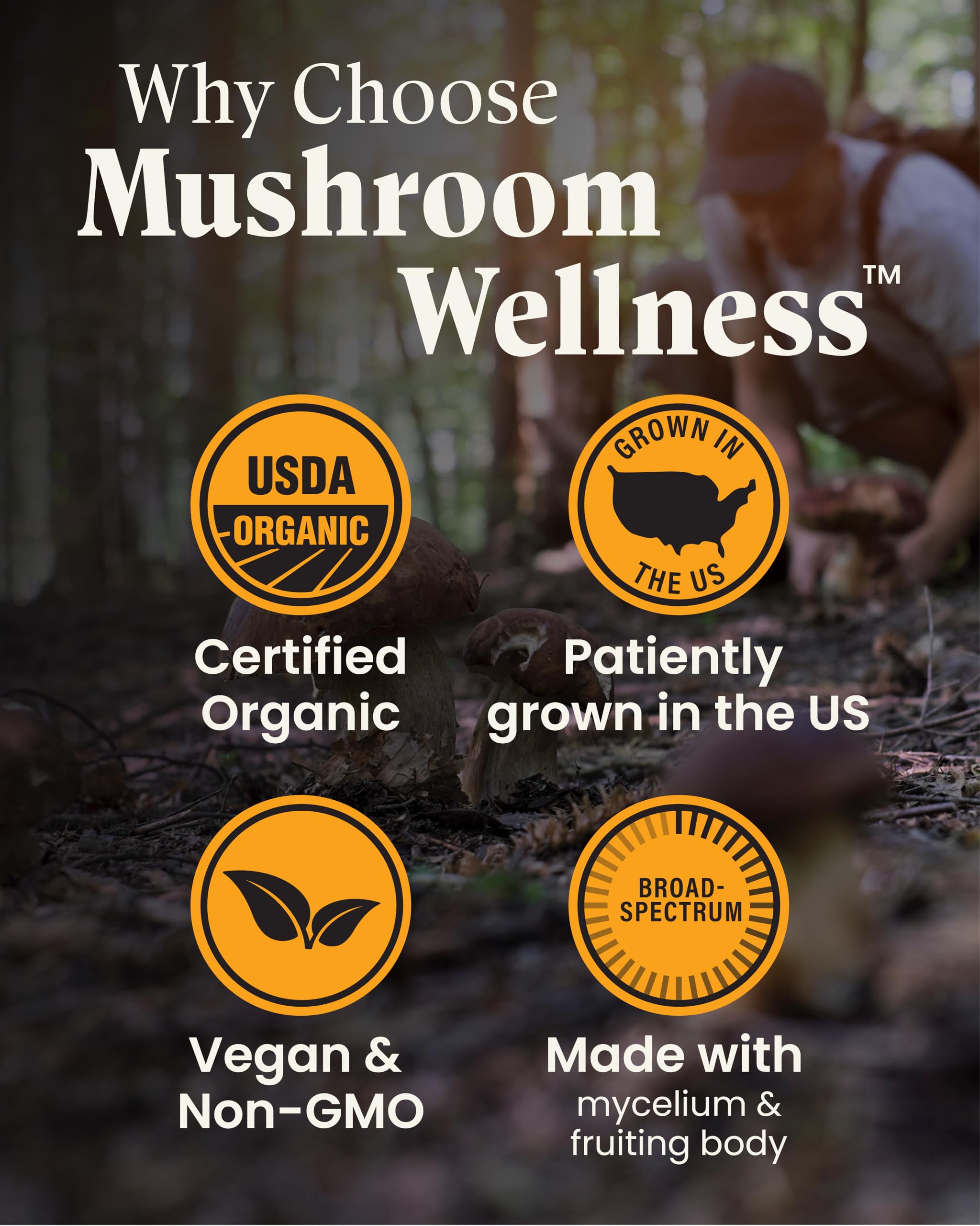 Foto 5 pulgar | Suplemento Herb Pharm Mushroom Wellness Everyday 10 90 Cápsulas - Venta Internacional.