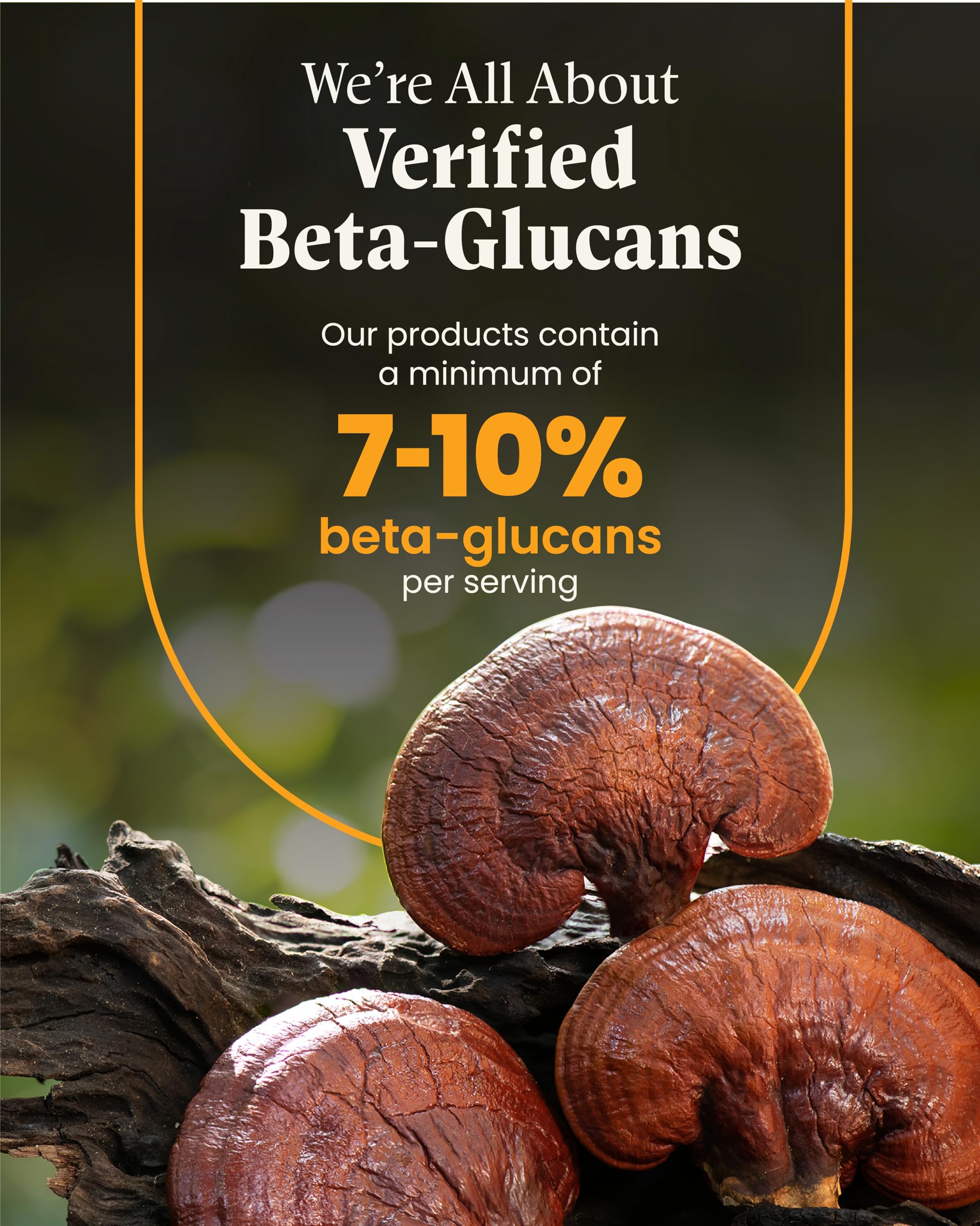 Foto 6 pulgar | Suplemento Herb Pharm Mushroom Wellness Everyday 10 90 Cápsulas - Venta Internacional.