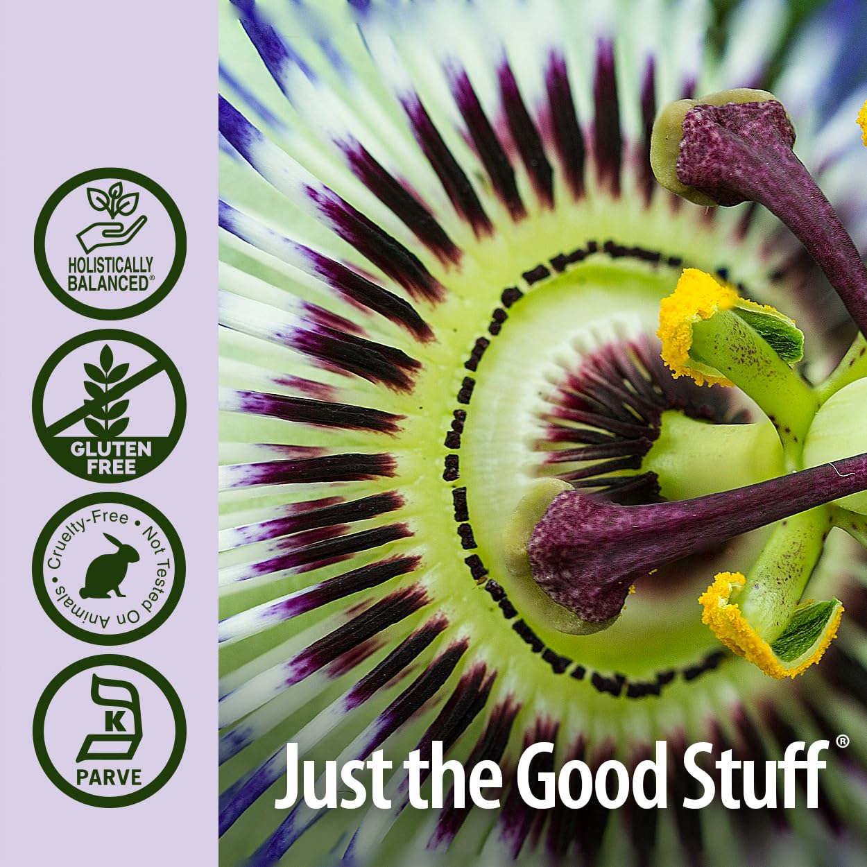 Foto 6 pulgar | Suplemento Nature's Answer Passiflora 60 Ml 2000 Mg - Venta Internacional.
