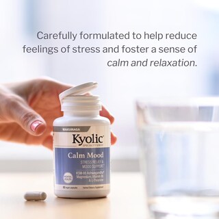 Foto 3 | Suplemento Kyolic Specialty Series Calm Mood 120 Cápsulas Vegetarianas - Venta Internacional.