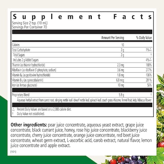 Foto 2 | Suplemento Floradix Iron & Herbs 680 Ml Con Complejo De Vitamina C Y B - Venta Internacional.