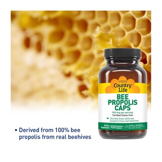 Foto 2 | Suplemento Country Life Pure Bee Propolis 500 Mg 100 Cápsulas - Venta Internacional.