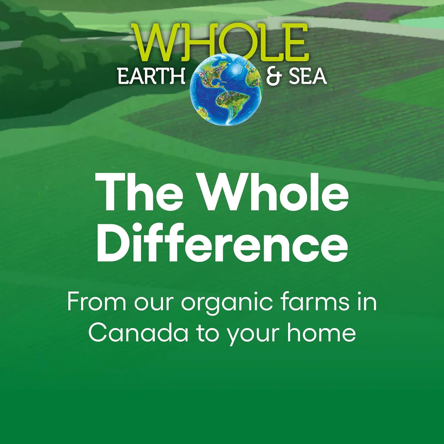 Foto 5 | Complementa Natural Factors Whole Earth & Sea Women's - Venta Internacional.