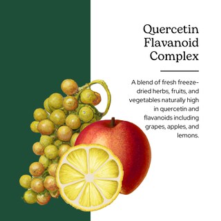 Foto 2 | Suplemento Complejo De Flavonoides De Quercetina De Eclectic Institute, 90 G - Venta Internacional.