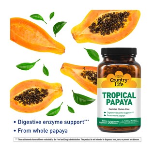 Foto 3 | Supplement Country Life Natural Tropical Papaya Enzyme 500 Obleas Masticables - Venta Internacional.