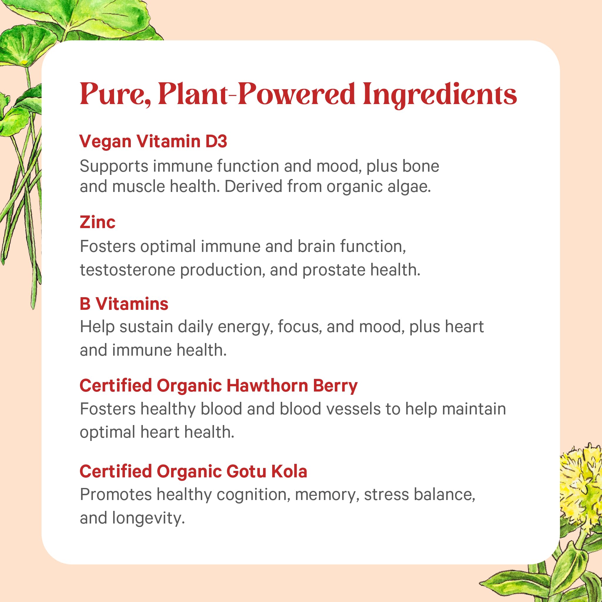 Foto 6 pulgar | Suplemento Multivitamínico Pure Synergy Vita·min·herb Para Hombres - Venta Internacional.