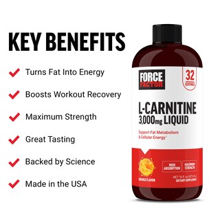 Foto 2 | Suplemento Force Factor L-carnitina 3000 Mg Naranja Líquida 500 Ml - Venta Internacional.
