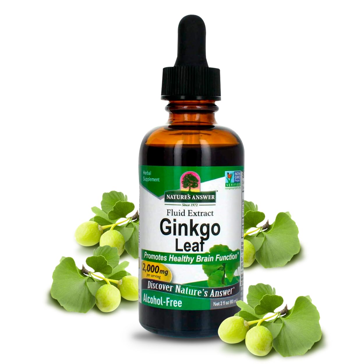 Foto 2 pulgar | Suplemento De Extracto De Hoja De Ginkgo De Nature's Answer 2000 Mg 60 Ml - Venta Internacional.