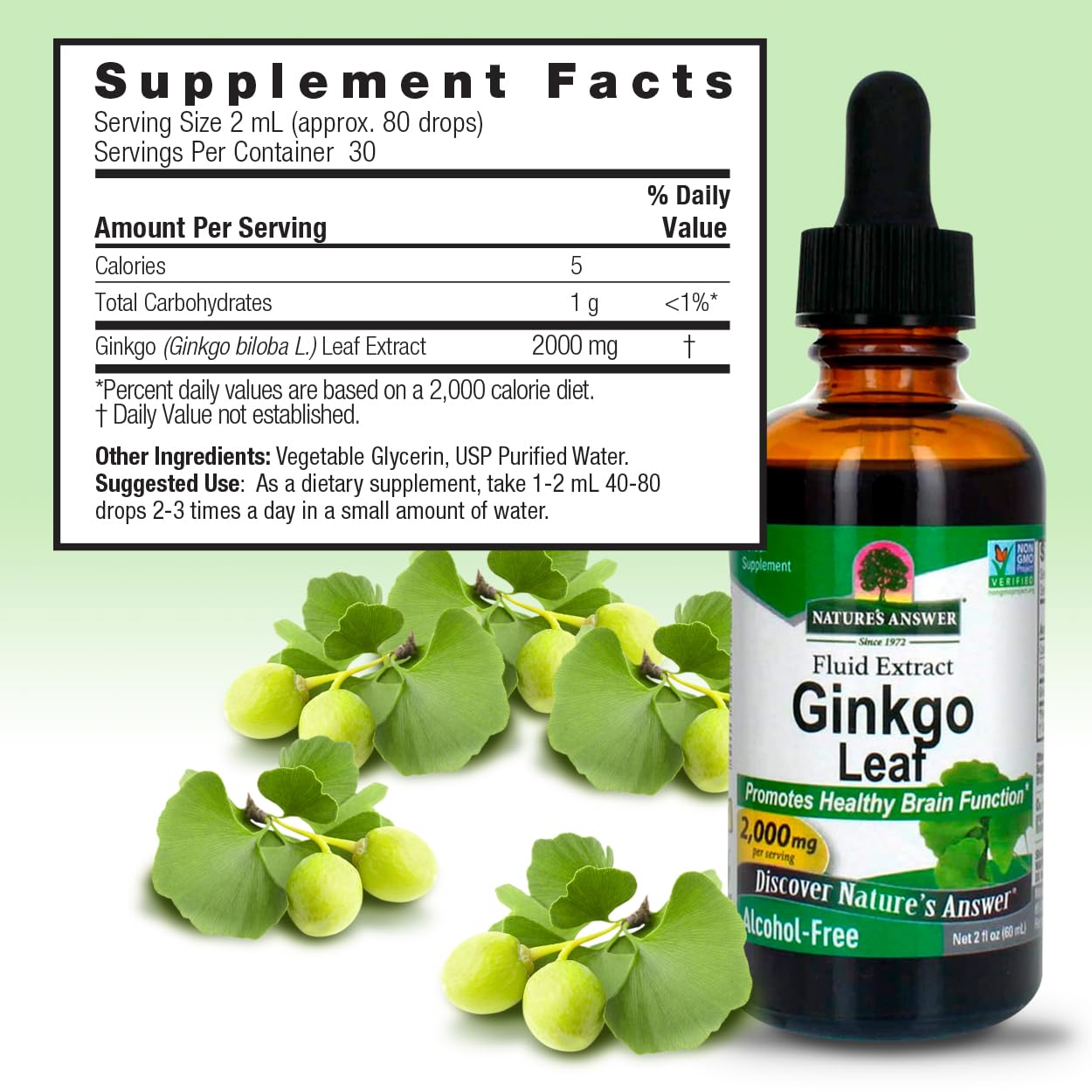 Foto 4 pulgar | Suplemento De Extracto De Hoja De Ginkgo De Nature's Answer 2000 Mg 60 Ml - Venta Internacional.
