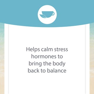 Foto 7 | Complemente La Serenidad Suprarrenal Stress-relax De Los Factores Naturales - Venta Internacional.
