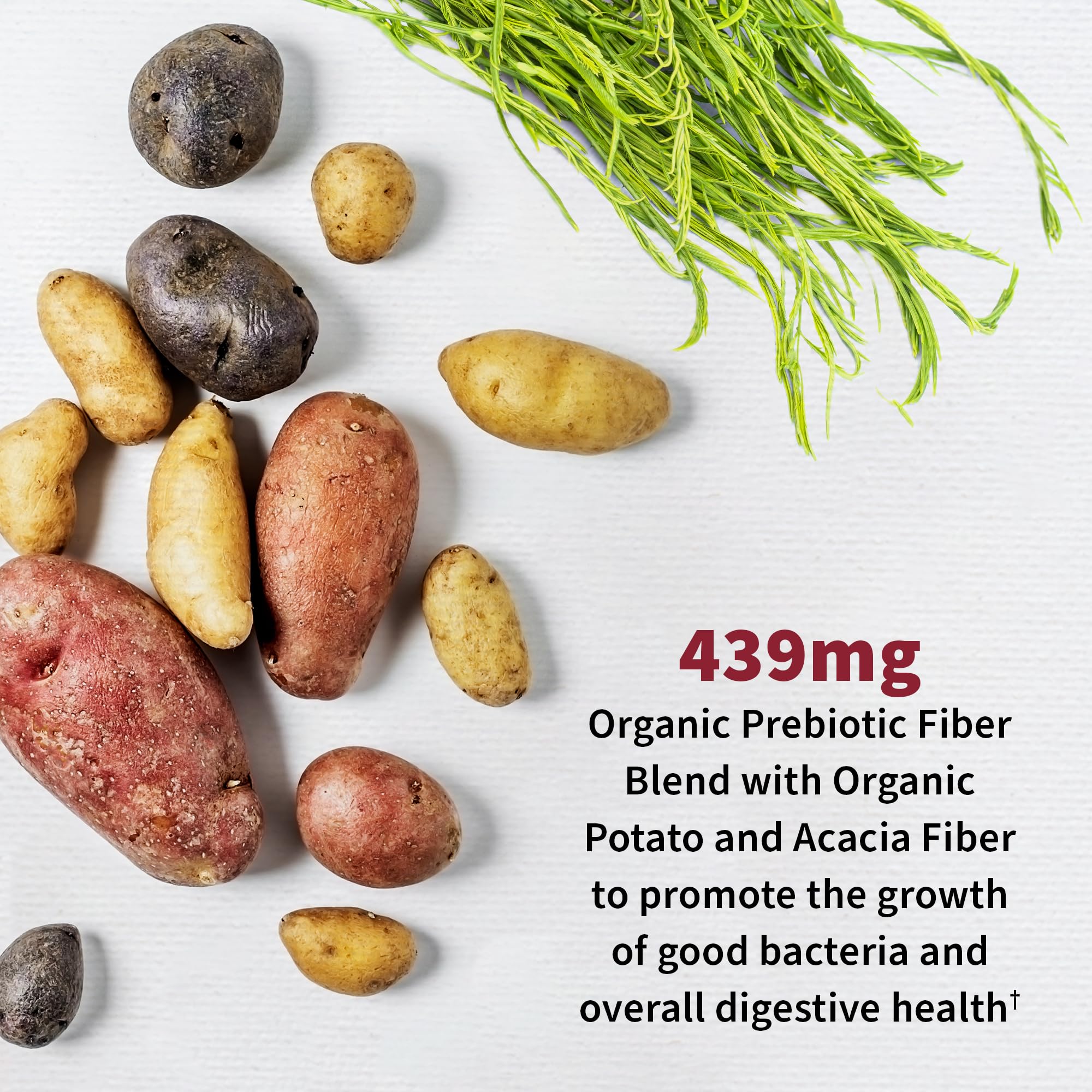Foto 4 | Suplemento Probiótico Garden Of Life Acidophilus, 60 Unidades - Venta Internacional.