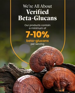 Foto 5 | Suplemento: Mezcla De Cola De Pavo Herb Pharm Mushroom Wellness - Venta Internacional.