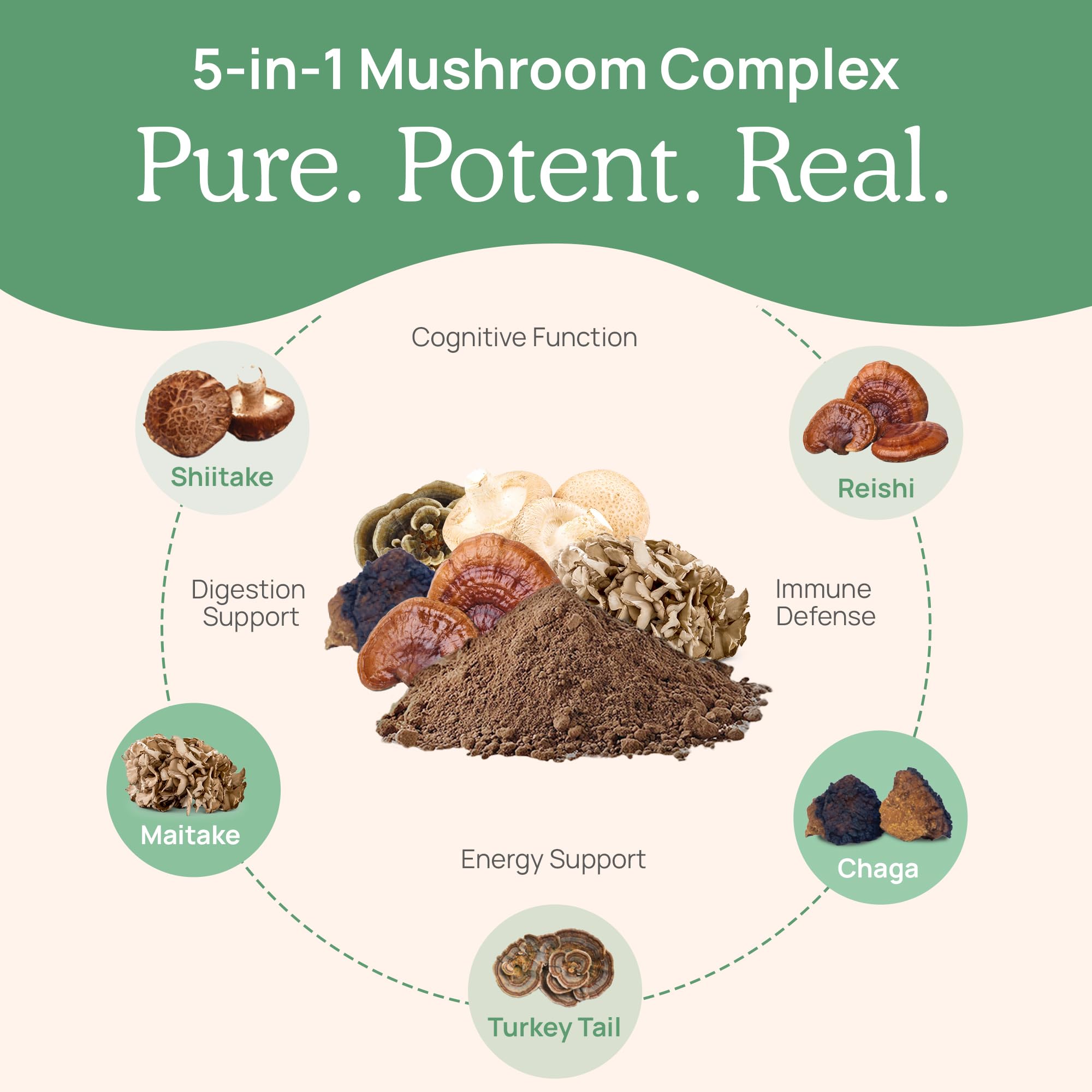 Foto 5 pulgar | Suplemento Real Mushrooms 5 Defenders Powder, 45 Porciones - Venta Internacional.