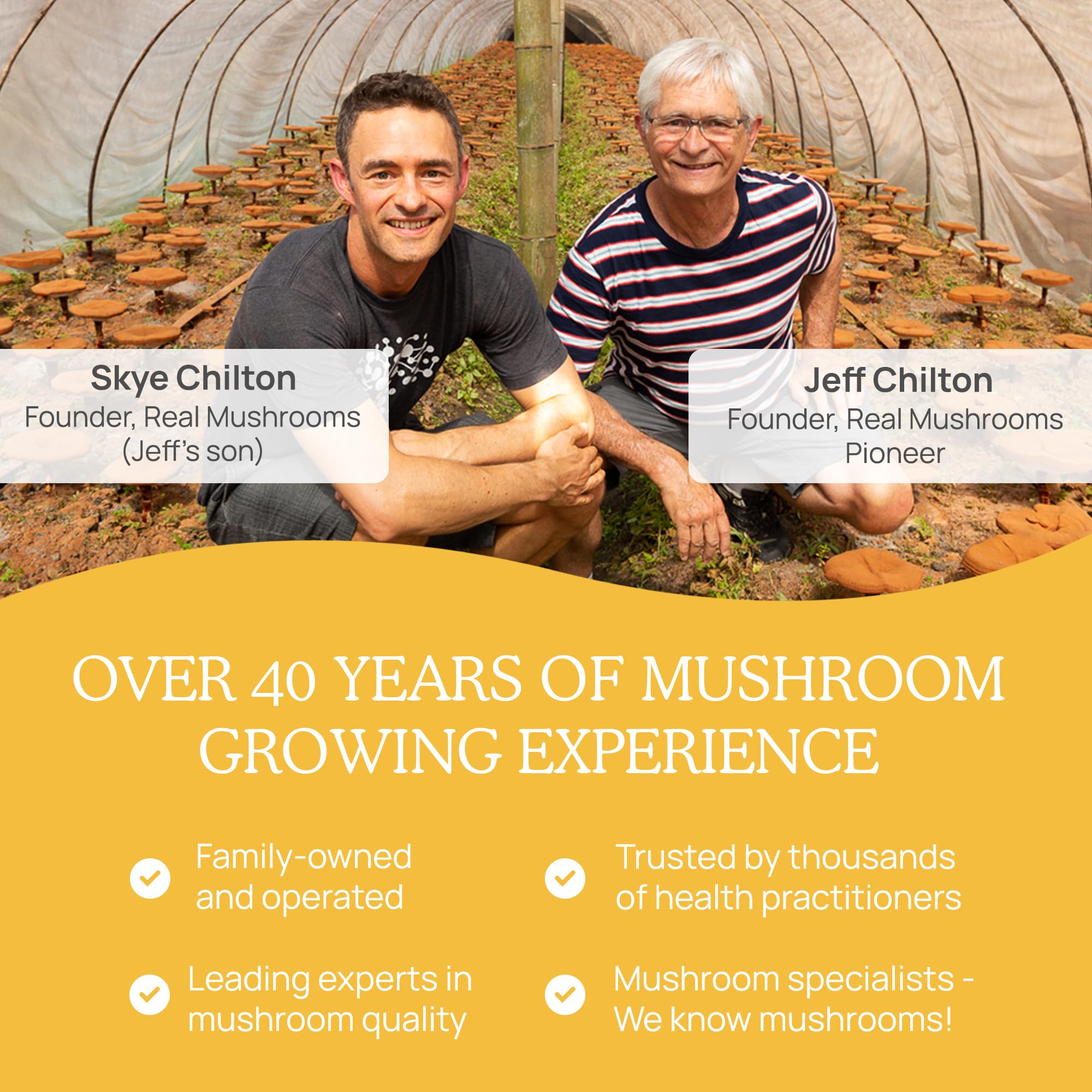 Foto 7 pulgar | Suplemento De Extracto De Hongo Tremella Real Mushrooms, 300 Unidades - Venta Internacional.