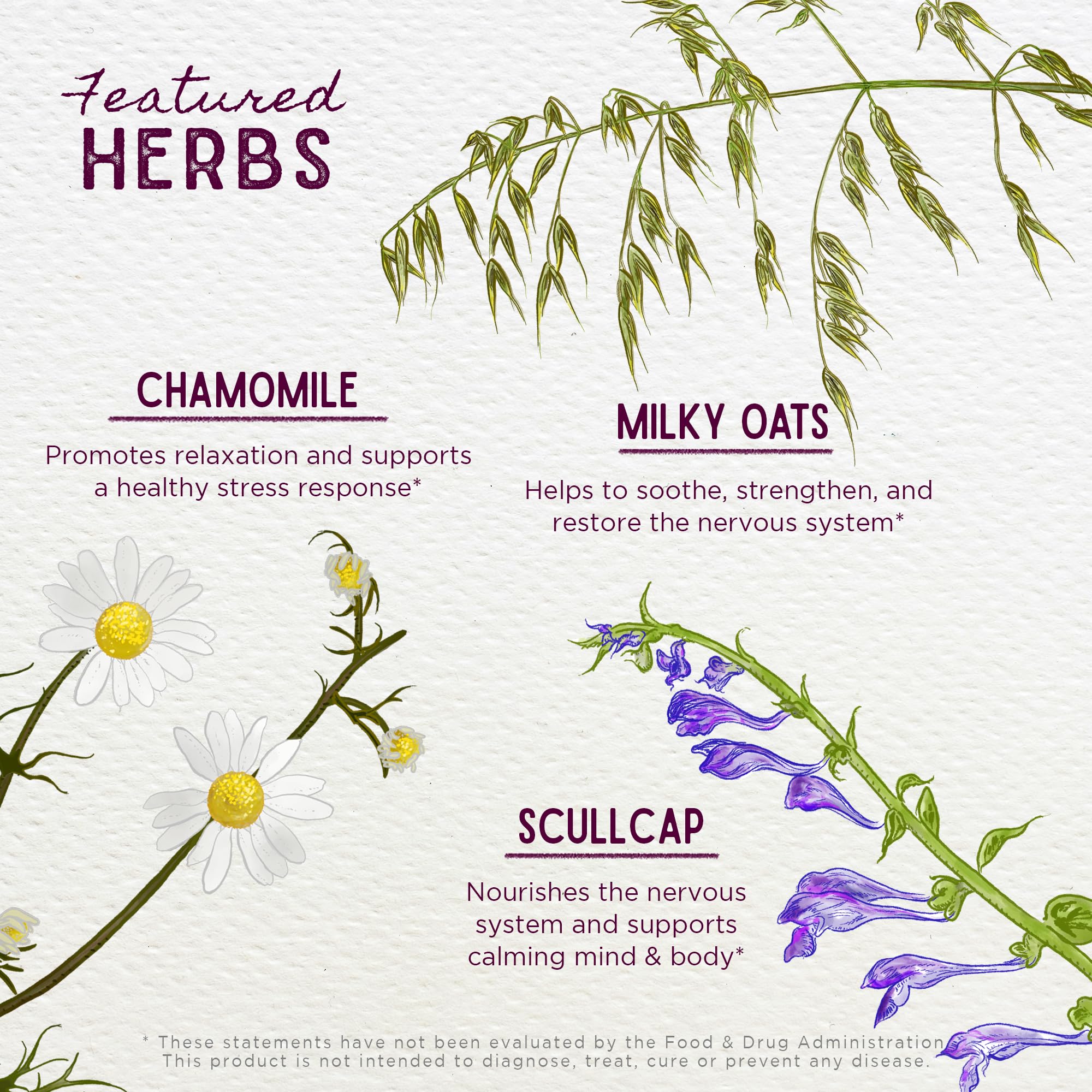 Foto 4 | Sleep Aid Wishgarden Herbs Sleepy Nights Para El Embarazo, 60 Ml - Venta Internacional.