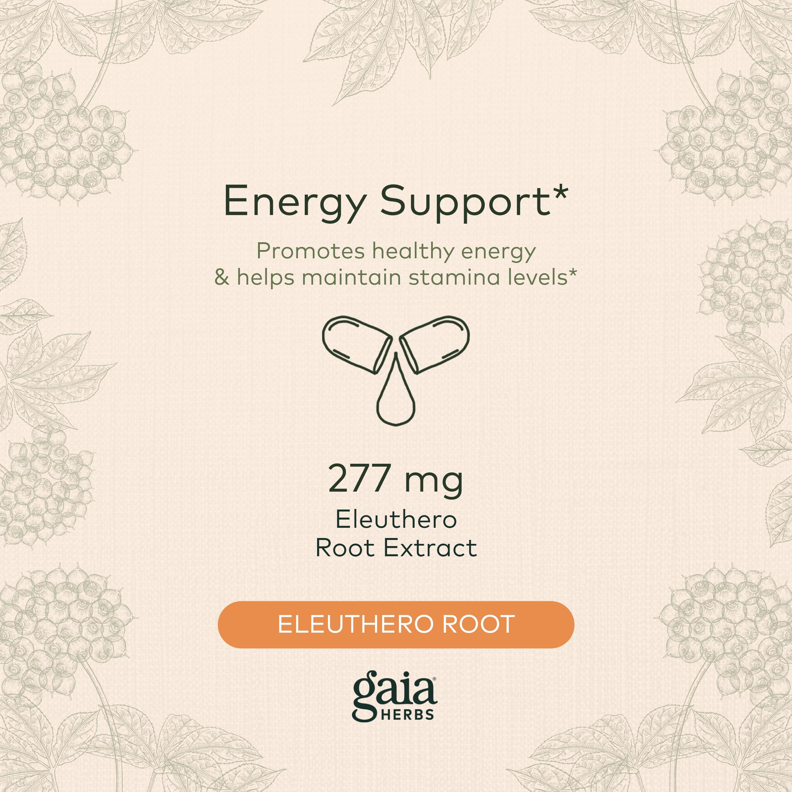 Foto 4 pulgar | Suplemento Gaia Herbs Eleuthero Root Energy 60 Cápsulas Veganas - Venta Internacional