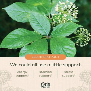 Foto 5 | Suplemento Gaia Herbs Eleuthero Root Energy 60 Cápsulas Veganas - Venta Internacional
