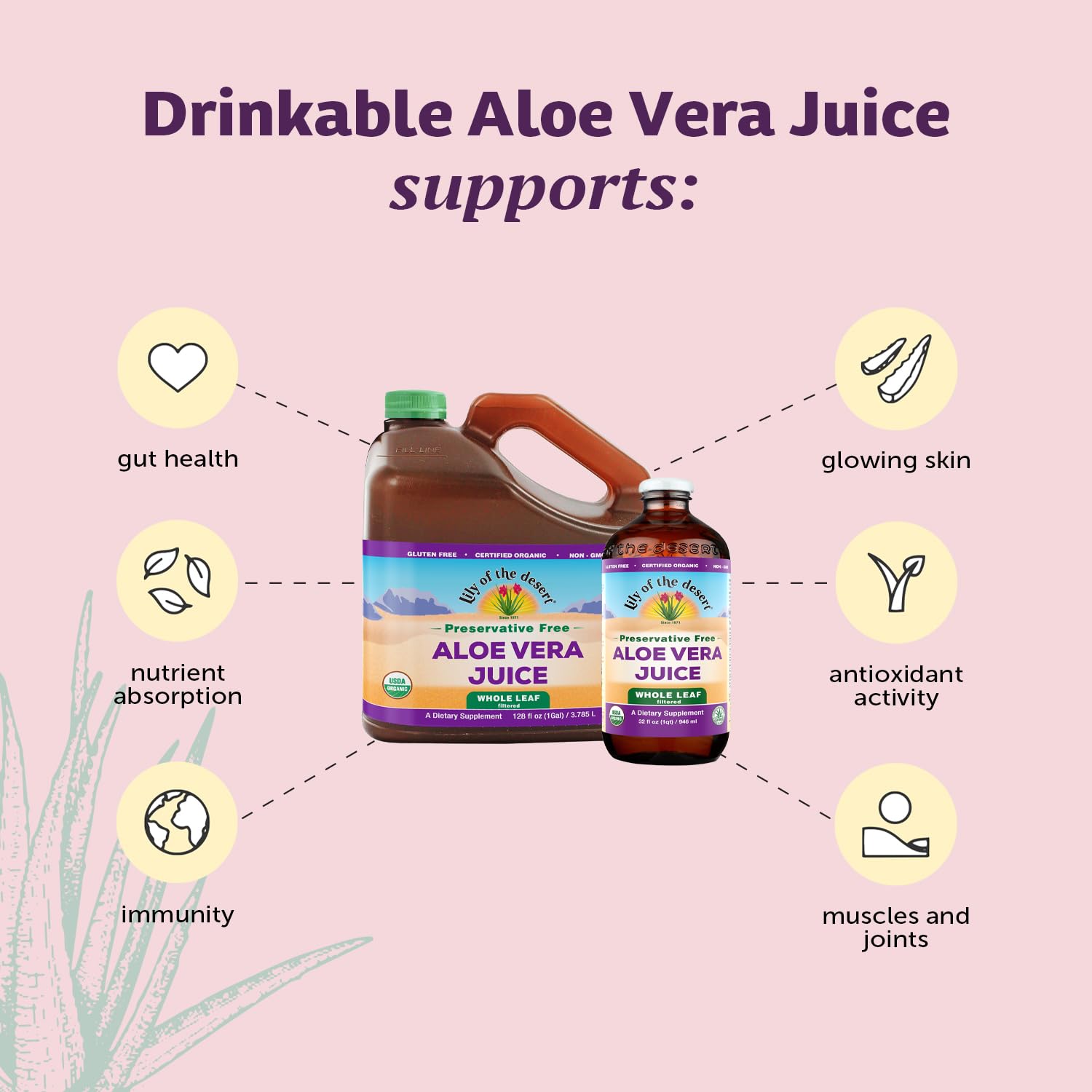 Foto 4 pulgar | Jugo de Aloe Vera Lily Of The Desert Orgánico 946ml - Venta Internacional