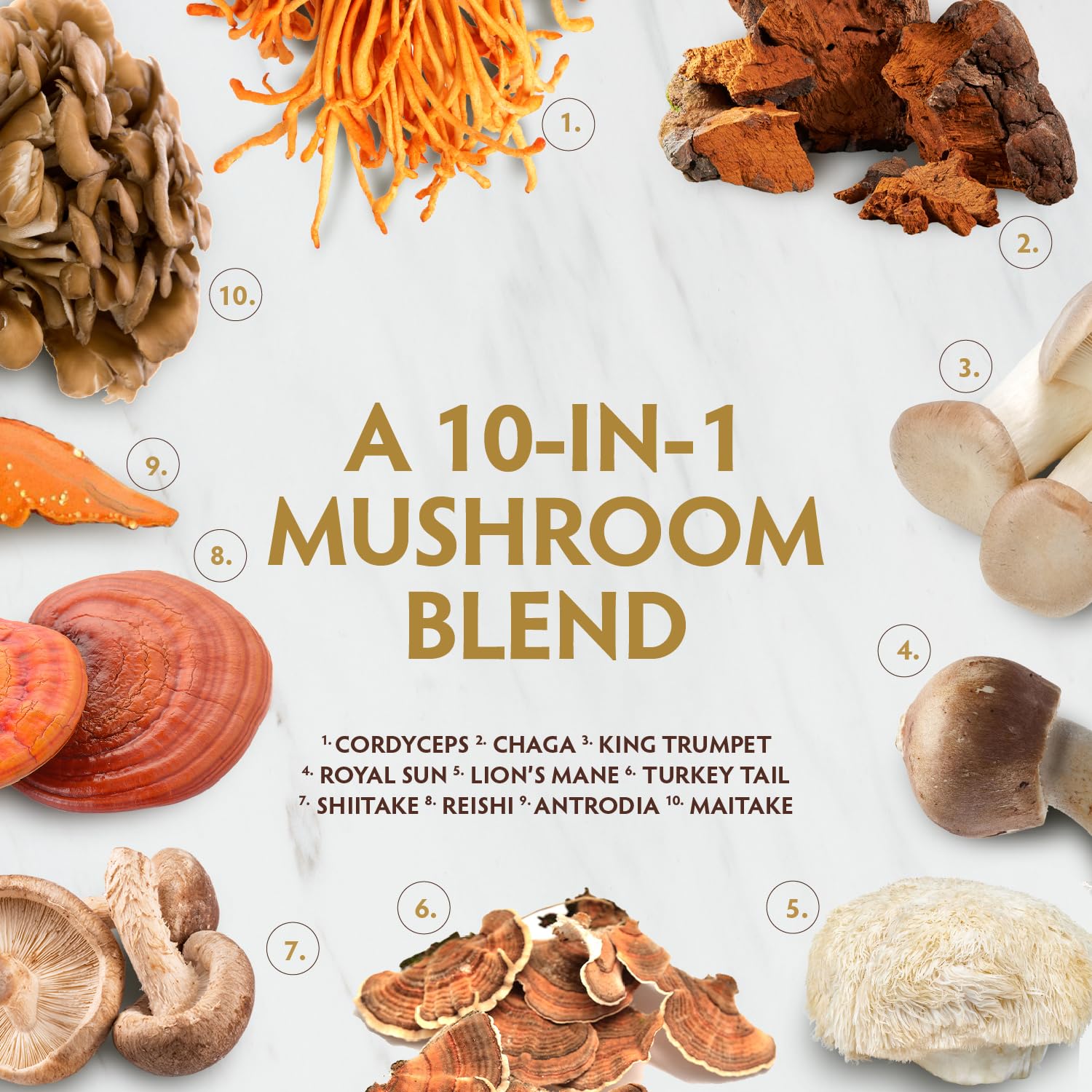 Foto 4 pulgar | Suplemento Tribe Organics Mushroom Golden Blend 90 Cápsulas - Venta Internacional