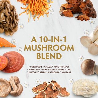 Foto 3 | Suplemento Tribe Organics Mushroom Golden Blend 90 Cápsulas - Venta Internacional