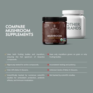 Foto 6 | Suplemento Tribe Organics Mushroom Golden Blend 90 Cápsulas - Venta Internacional