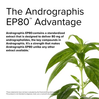 Foto 6 | Suplemento Terry Naturally Andrographis Ep80 Extra Strength - Venta Internacional