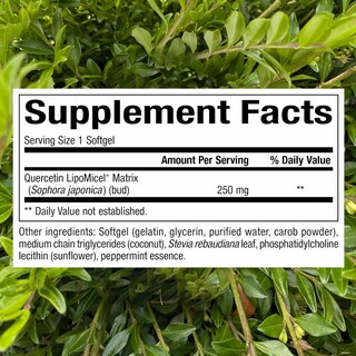 Foto 2 | Suplemento Natural Factors Quercetin Lipomicel Matrix 120 Cápsulas Blandas - Venta Internacional