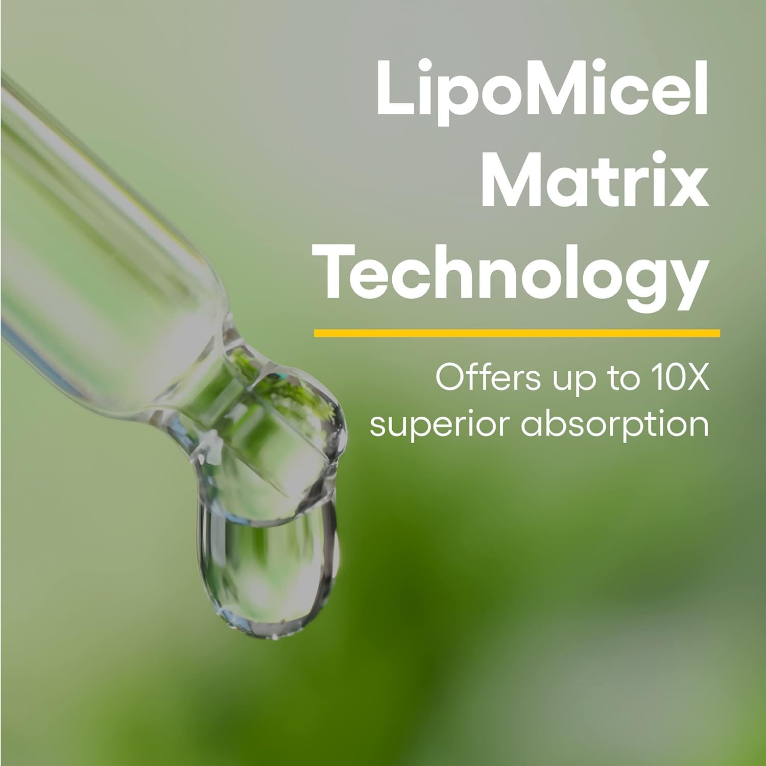 Foto 4 pulgar | Suplemento Natural Factors Quercetin Lipomicel Matrix 120 Cápsulas Blandas - Venta Internacional