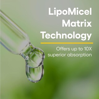 Foto 3 | Suplemento Natural Factors Quercetin Lipomicel Matrix 120 Cápsulas Blandas - Venta Internacional
