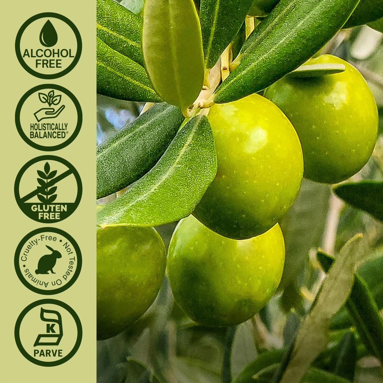Foto 6 pulgar | Extracto De Hoja De Olivo Nature's Answer Sin Alcohol 60 Ml - Venta Internacional.