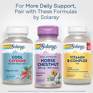 Foto 6 | Suplementos: Extracto De Castaño De Indias Solaray, 400 Mg, Vegano - Venta Internacional.