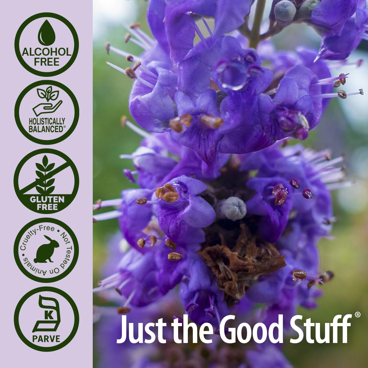 Foto 6 pulgar | Suplemento Nature's Answer Vitex Berry 30 Ml Sin Alcohol - Venta Internacional.
