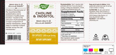 Foto 3 | Suplemento Nature's Way De Colina E Inositol 1000 Mg 100 Cápsulas - Venta Internacional.