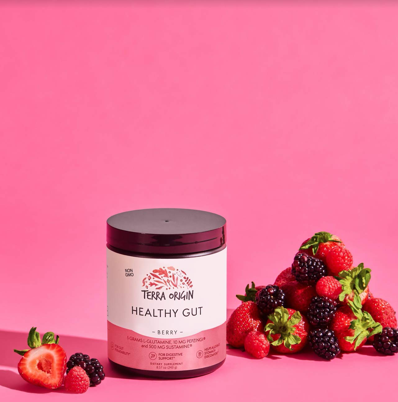 Foto 5 pulgar | Suplemento Terra Origin Healthy Gut Powder, 30 Porciones - Venta Internacional.